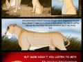 takas_story_82_by_savu0211-d351kci.jpg